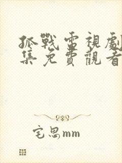 孤战电视剧52集免费观看