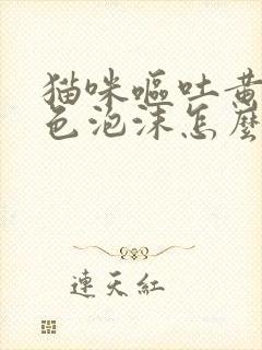 猫咪呕吐黄水白色泡沫怎么办