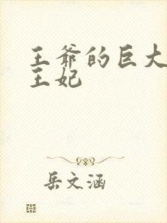 王爷的巨大进入王妃