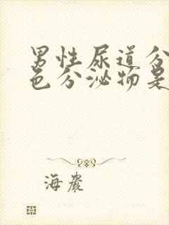 男性尿道分泌黄色分泌物是怎么回事封面