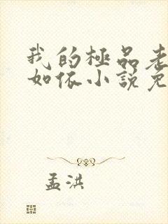 我的极品老师柳如依小说免费阅读封面