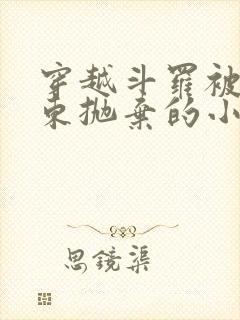 穿越斗罗被比比东抛弃的小说