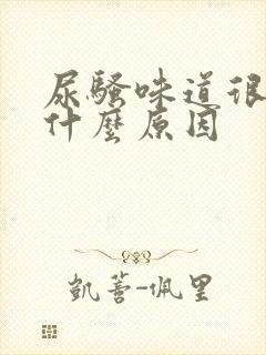 尿骚味道很重是什么原因