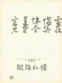 完美伴侣电视剧免费全集在线观看