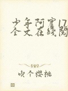 少年阿宾172全文在线阅读