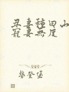 丑妻种田山里汉宠妻无度