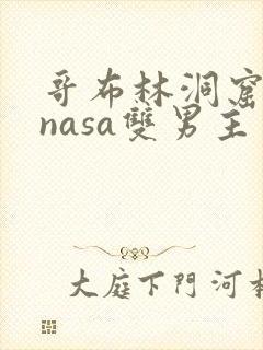 哥布林洞窟动漫nasa双男主免费观看