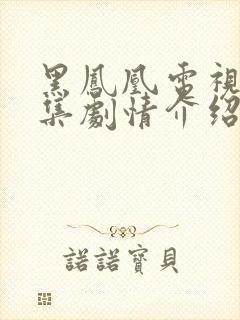 黑凤凰电视剧分集剧情介绍大结局