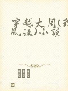 穿越大周(武唐风流)小说封面