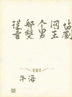 从哪个网站可以看双男主剧