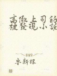 高傲上司的秘密被发现小说免费阅读封面