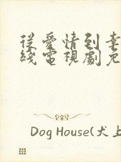 从爱情到幸福在线电视剧免费观看