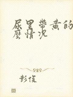 尿里带黄的是什么情况封面