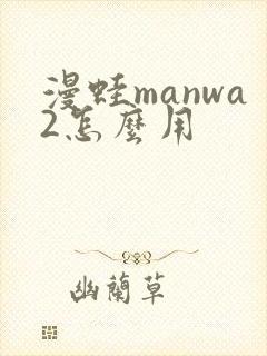 漫蛙manwa2怎么用