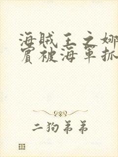 海贼王之娜美罗宾被海军抓住是第几封面