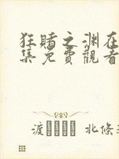 狂赌之渊在线全集免费观看封面