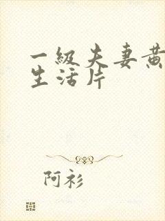 一级夫妻黄色性生活片封面