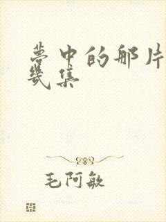 梦中的那片海共几集