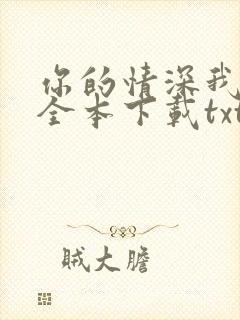 你的情深我不配全本下载txt封面