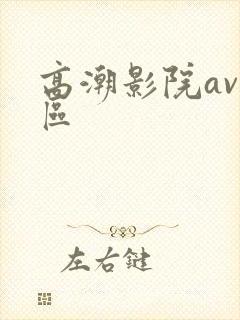 高潮影院av一区
