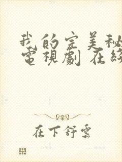 我的完美秘书 电视剧 在线观看封面