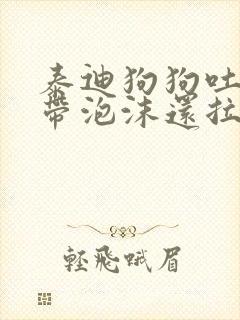 泰迪狗狗吐黄水带泡沫还拉稀