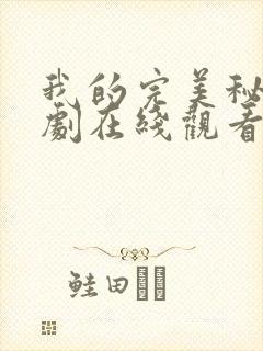 我的完美秘密韩剧在线观看