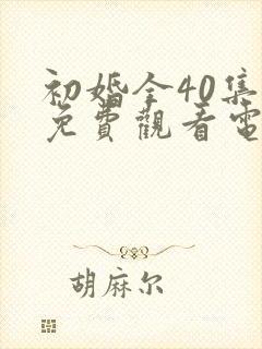 初婚全40集全免费观看电视剧封面