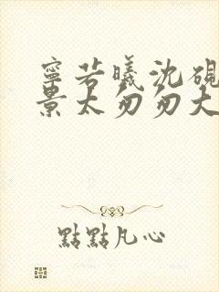 宁若曦沈砚舟盛景太匆匆大结局哪里看