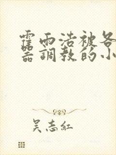 霍雨浩被各种性器调教的小说