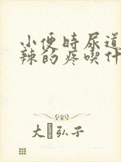 小便时尿道火辣辣的疼吃什么药