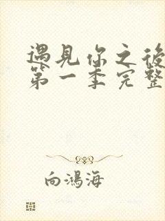 遇见你之后韩剧第一季完整版