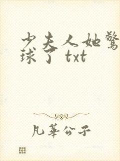少夫人她惊艳全球了 txt封面