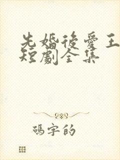 先婚后爱王沐凯短剧全集