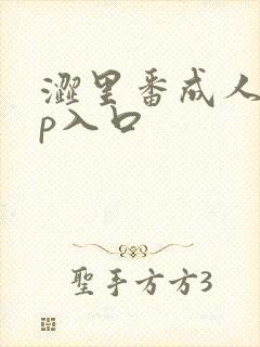 涩里番成人app入口