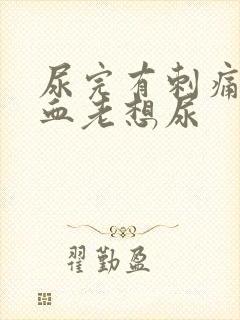 尿完有刺痛感有血老想尿