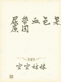 尿带血色是什么原因