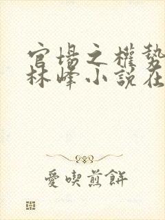 官场之权势滔天林峰小说在线阅读