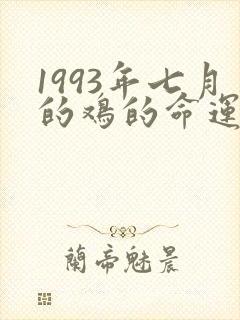 1993年七月的鸡的命运如何