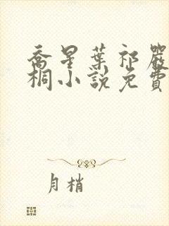 乔星叶祁严梁雨桐小说免费阅读封面