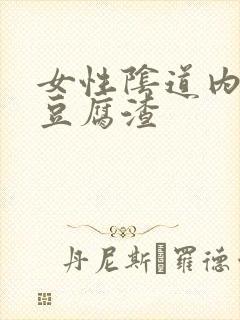 女性阴道内白色豆腐渣