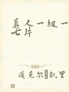 真人一级一级九七片