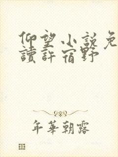 仰望小说免费阅读许宿野