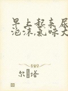 早上起来尿黄有泡沫,气味大是啥原因