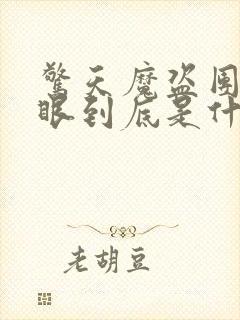 惊天魔盗团2天眼到底是什么