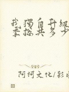 我独自升级第二季总共多少集