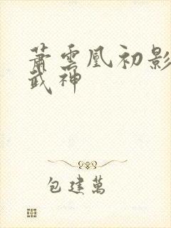 萧云凰初影荒古武神