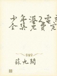 少年派2电视剧全集免费完整版封面