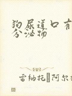 狗尿道口有黄色分泌物