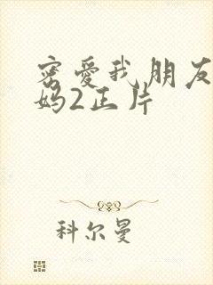 密爱我朋友的妈妈2正片封面